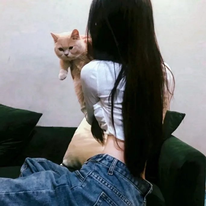 谱写明日的照相馆